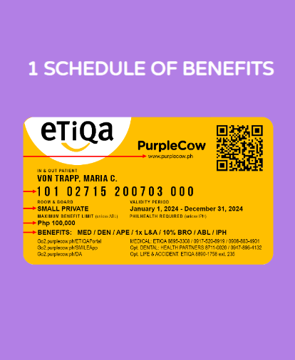 etiqa-card-mobile